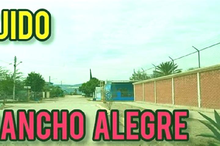 Madison, 31 — Escort in Ejido Rancho Alegre, Mexico