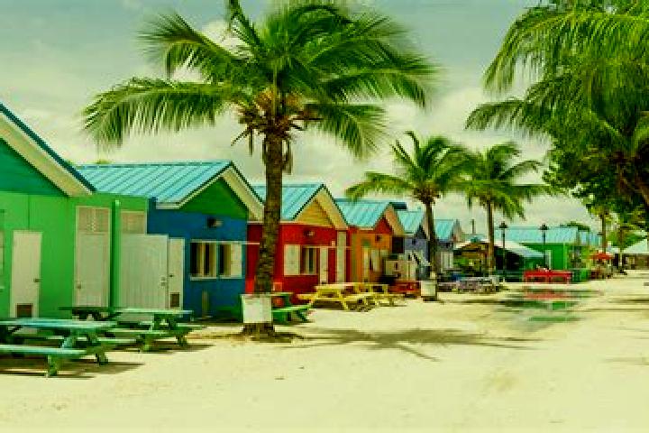 Madison, 31 — Escort in Greenland, Barbados