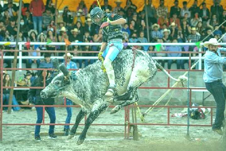 Madison, 31 — Escort in Jaripeo, Mexico