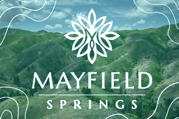 Madison, 31 — Escort in Mayfield, United States
