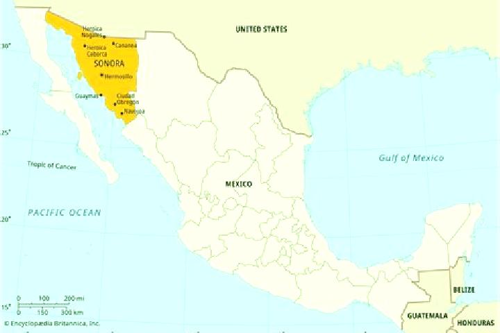 Madison, 31 — Escort in Noria del Borrego (Norias), Mexico