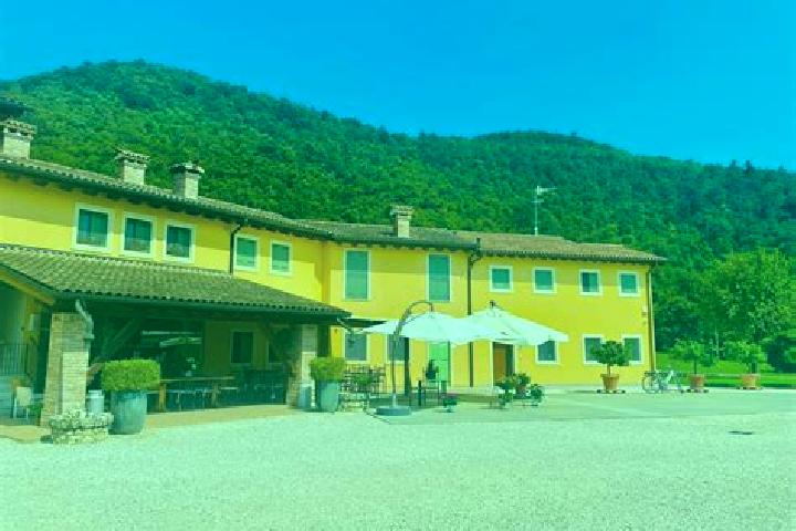 Madison, 31 — Escort in Pieve d Olmi, Italy