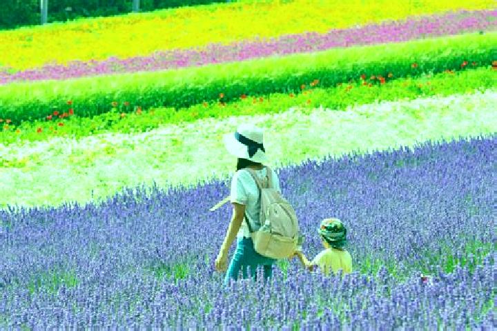 Madison, 31 — Escort in Shimo-furano, Japan