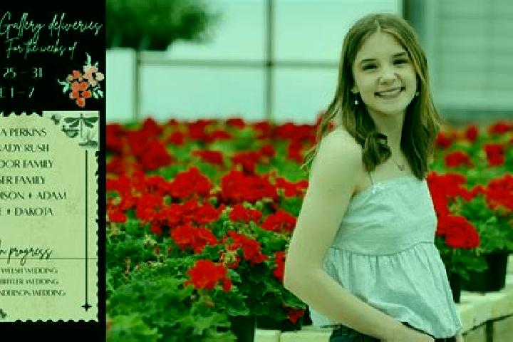 Madison, 31 — Escort in Vaccheria, Italy