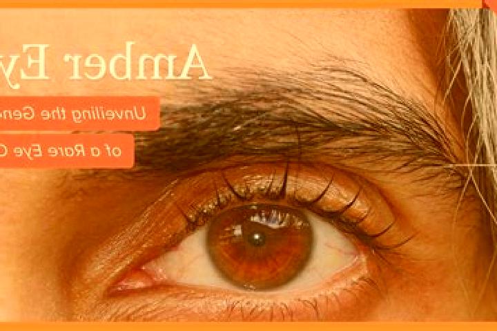 Madison, 32, a red amber-eyed ebony companion based in Piratininga. Offering Striptease, Prostate Massage, Party Girl, Fetish. Available for incall and outca...