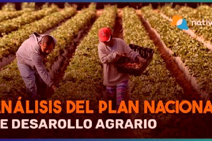 Madison, 32 — Escort in Ejido Plan Nacional Agrario, Mexico