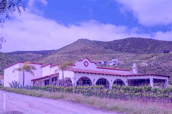 Madison, 32 — Escort in Hacienda Guadalupe, Mexico