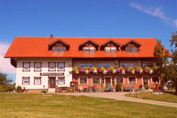 Madison, 32 — Escort in Hergensweiler, Germany