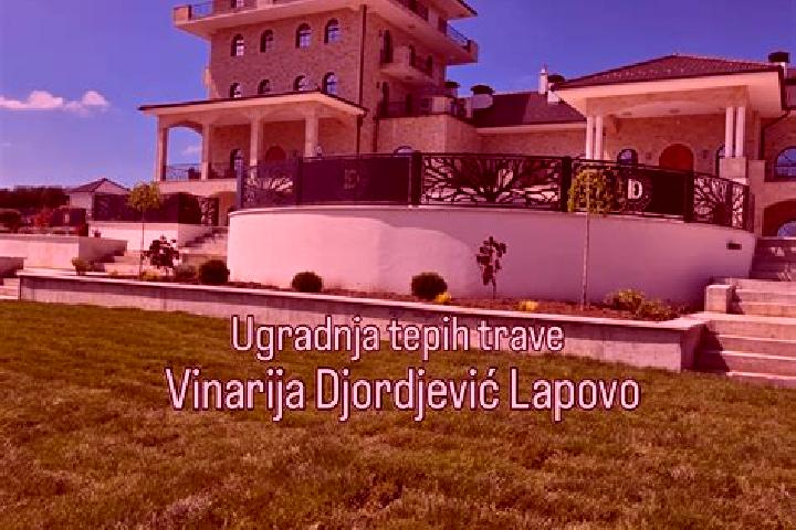 Madison, 32 — Escort in Lapovo, Serbia