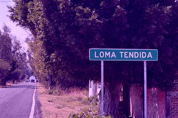 Madison, 32 — Escort in Loma Tendida, Mexico