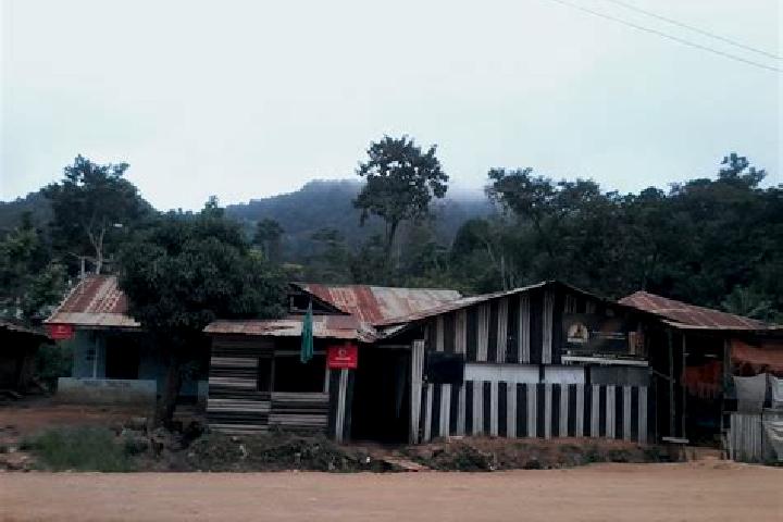 Madison, 32 — Escort in Usangi, Tanzania