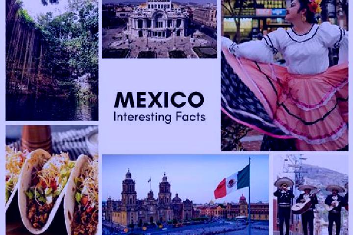 Madison, 32 — Escort in Xonalpu, Mexico
