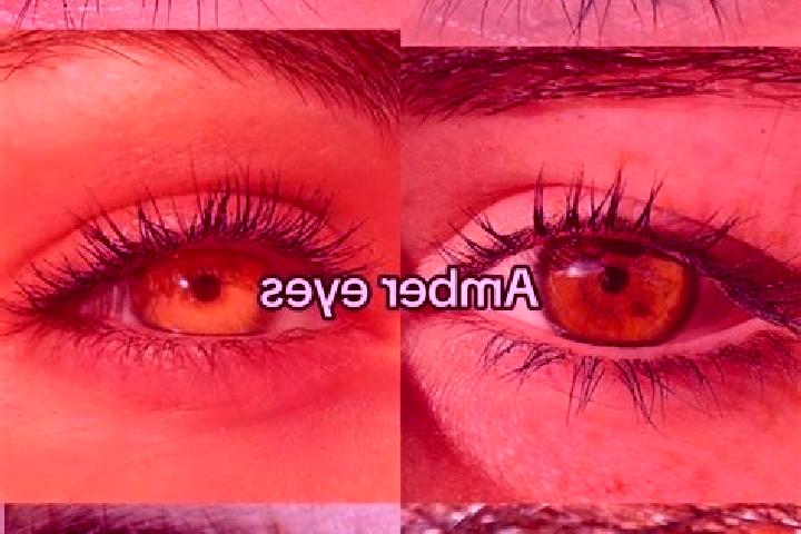 Madison, 33, a chestnut amber-eyed european companion based in Sharingol. Offering Duos, Tantra, Girlfriend Experience, OWO. Available for incall and outcall...