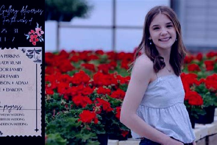 Madison, 33 — Escort in Aldlan-Oost, Netherlands