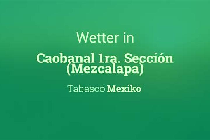 Madison, 33 — Escort in Caobanal 1ra. Seccion (Mezcalapa), Mexico