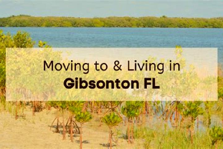 Madison, 33 — Escort in Gibsonton, United States