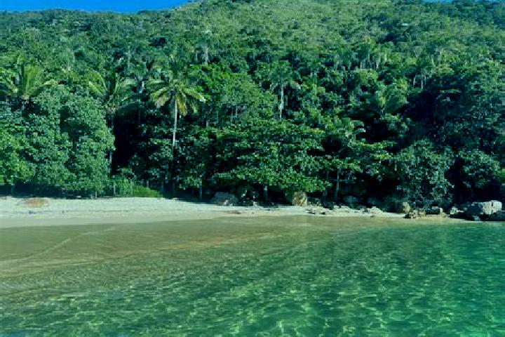 Madison, 33 — Escort in Ilha Grande, Brazil
