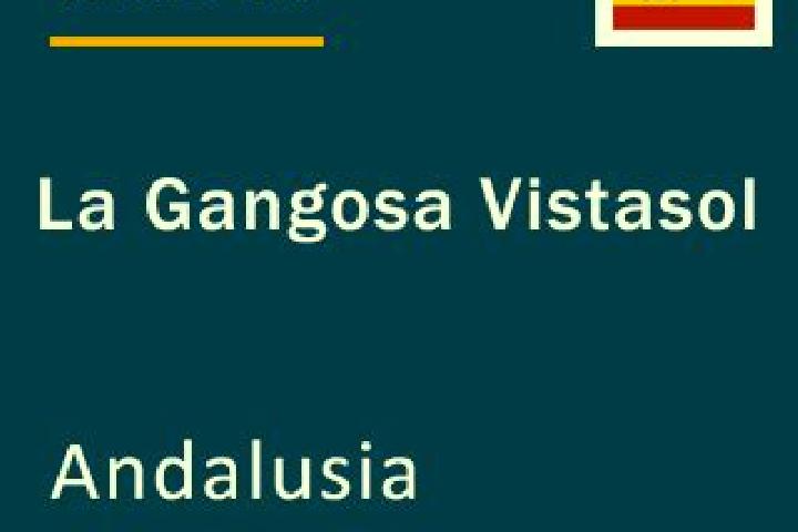 Madison, 33 — Escort in La Gangosa Vistasol, Spain