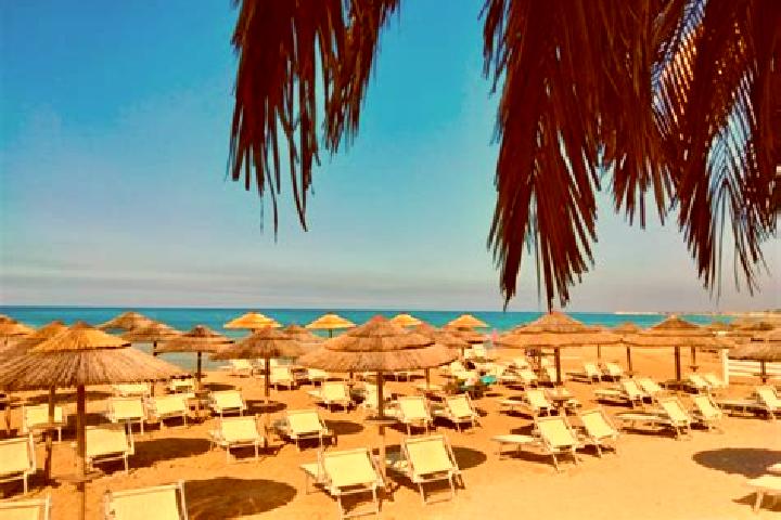 Madison, 33 — Escort in Portopalo di Capo Passero, Italy