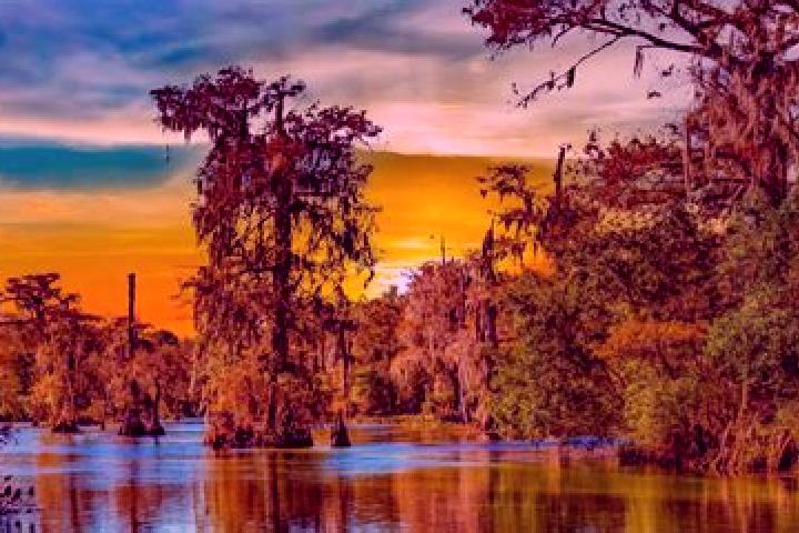Madison, 33 — Escort in Pretty Bayou, United States