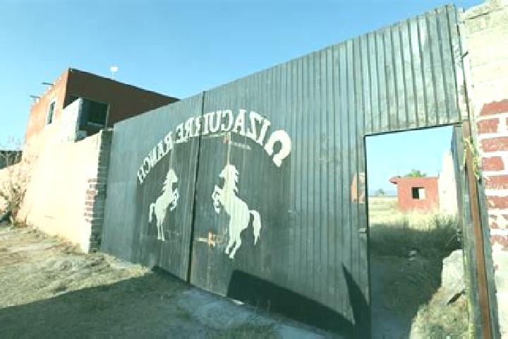 Madison, 33 — Escort in Rancho de Pro, Mexico