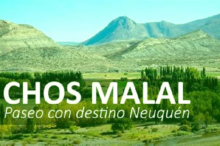 Madison, 34 — Escort in Chos Malal, Argentina