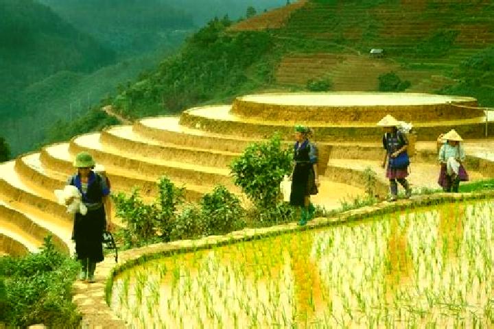 Madison, 34 — Escort in Huu Lung, Vietnam