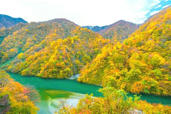 Madison, 34 — Escort in Kurobe-shi, Japan