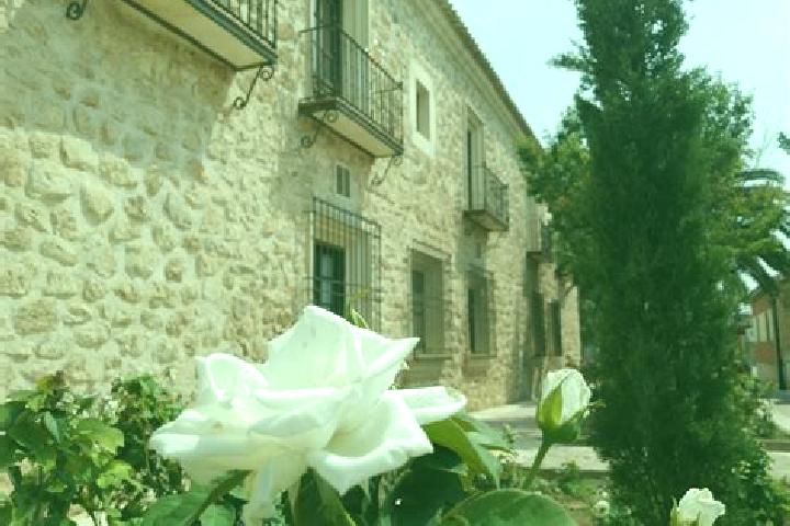 Madison, 34 — Escort in Puebla de Lillo, Spain