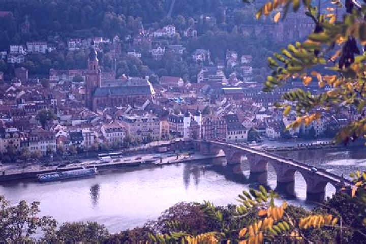 Madison, 34 — Escort in Rottingen, Germany