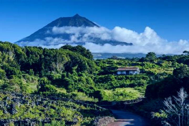Madison, 34 — Escort in Sao Roque do Pico, Portugal