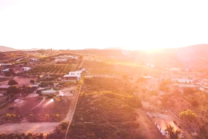 Madison, 34 — Escort in Villa Erendira, Mexico
