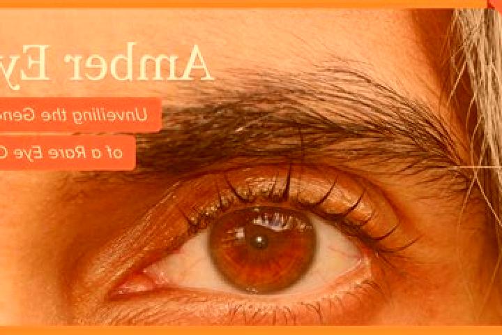 Madison, 35, a red amber-eyed indian companion based in Voru. Offering Deep French Kissing, Erotic Massage, Overnight. Available for incall and outcall, day ...