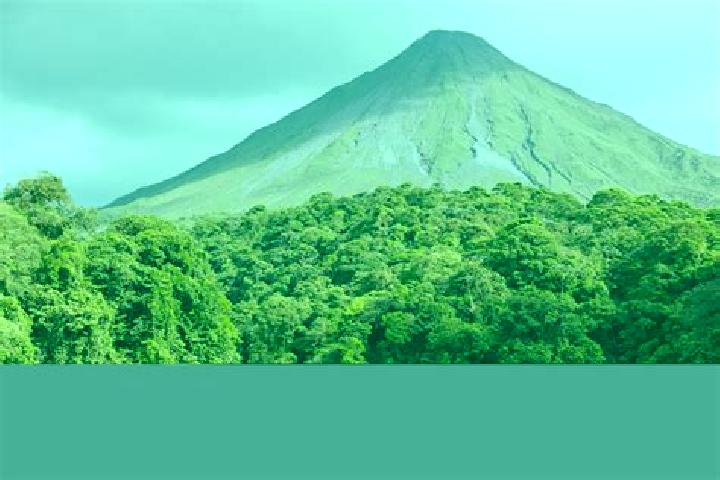 Madison, 35 — Escort in Arenal, Mexico