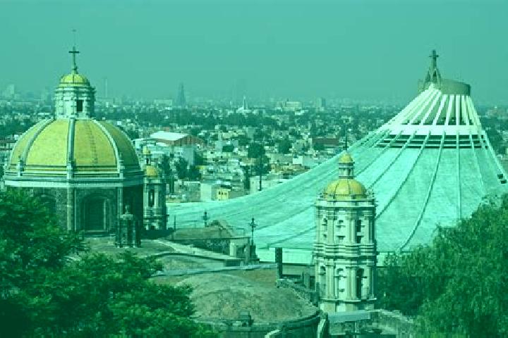 Madison, 35 — Escort in Colonia de Guadalupe, Mexico
