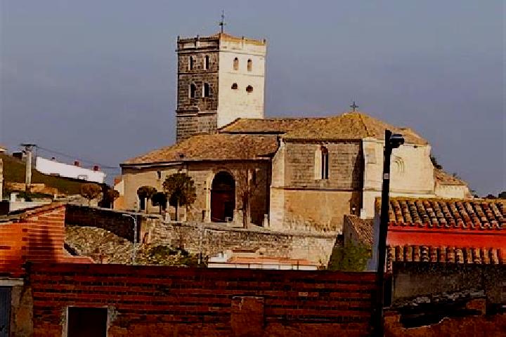 Madison, 35 — Escort in Encinas de Abajo, Spain