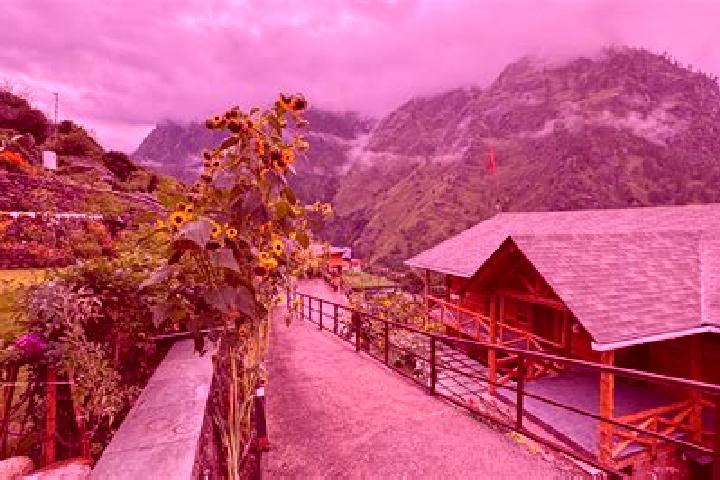 Madison, 35 — Escort in Joshimath, India