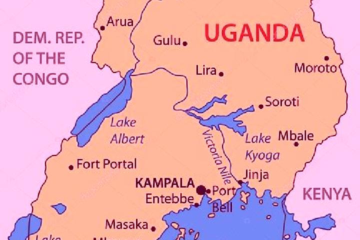 Madison, 35 — Escort in Kihihi, Uganda