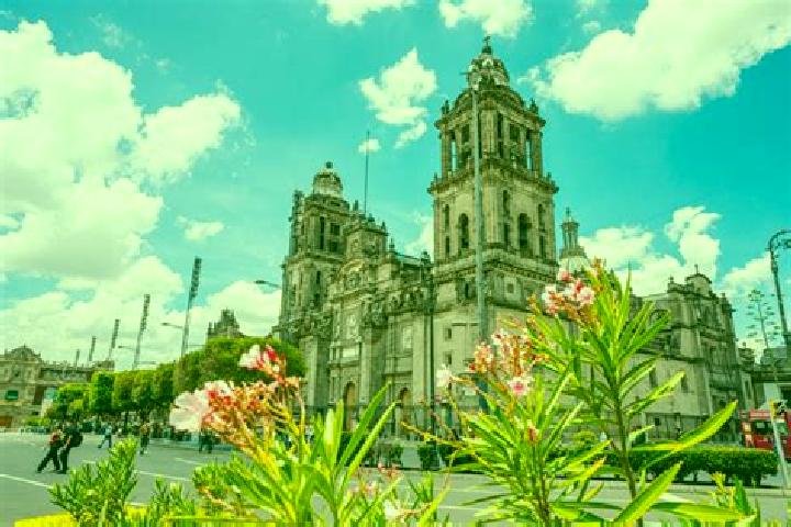 Madison, 35 — Escort in La Roca, Mexico