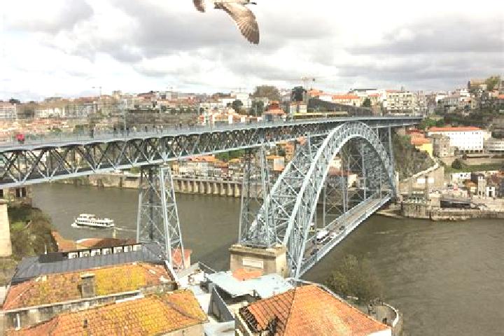 Madison, 35 — Escort in Lordelo do Ouro, Portugal
