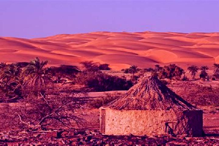 Madison, 35 — Escort in Mijek, Western Sahara