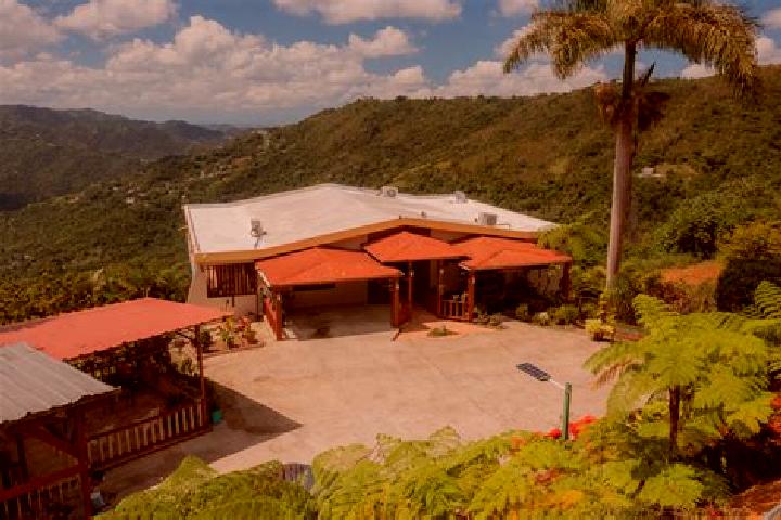 Madison, 35 — Escort in Naranjito, Puerto Rico