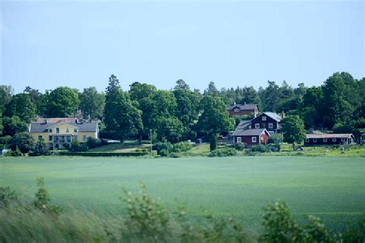 Madison, 35 — Escort in Odensbacken, Sweden