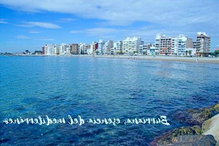 Madison, 35 — Escort in Onda, Spain