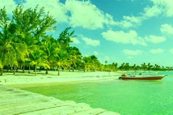 Madison, 35 — Escort in Padre Las Casas, Dominican Republic