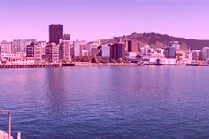 Madison, 35 — Escort in Wellington Central, New Zealand