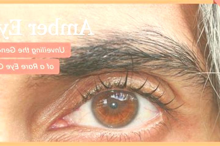 Madison, 36, a red amber-eyed middle eastern companion based in Paget Parish. Offering BDSM, 69, Overnight, Roleplay, A-Level. Available for incall and outca...