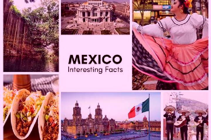Madison, 36 — Escort in Atexcalco, Mexico