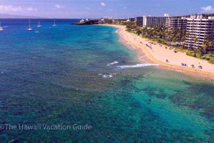Madison, 36 — Escort in Kaanapali Landing, United States