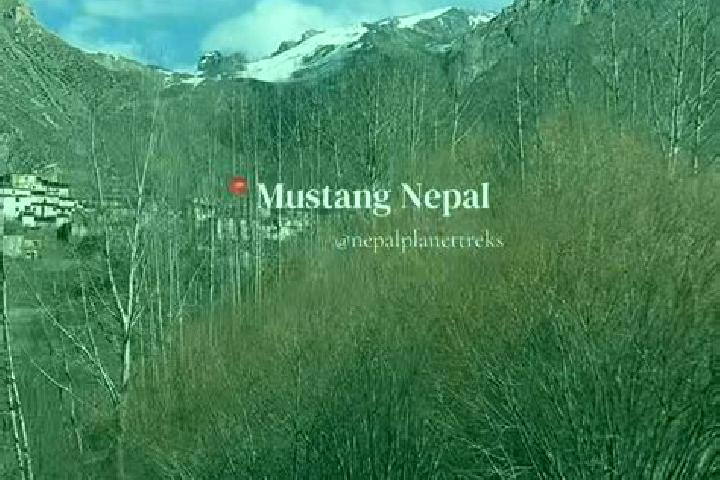 Madison, 36 — Escort in Mustang, Nepal